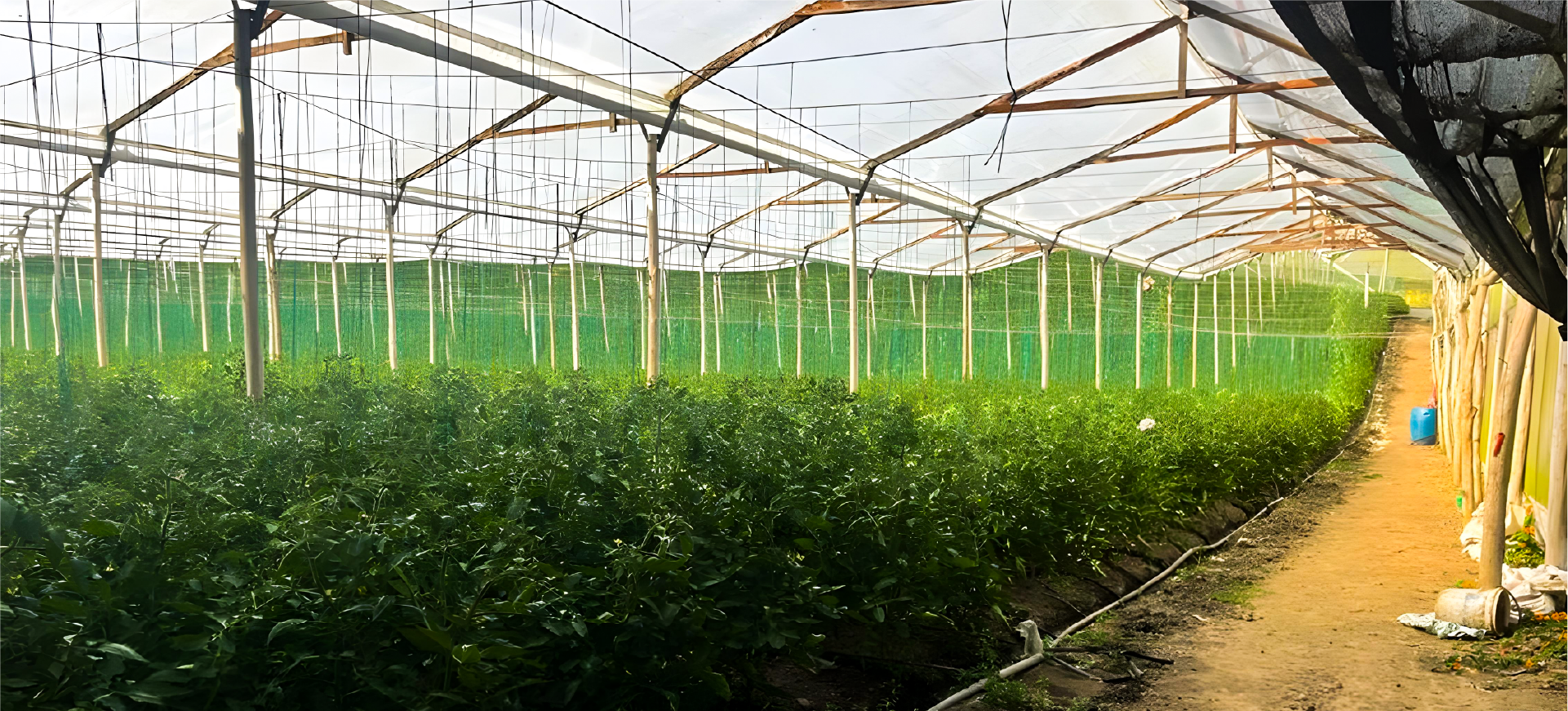Portada 2 Nosotros Tecnoagro