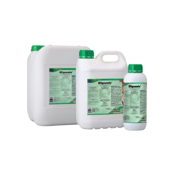 OLIGOAMIN 1 LT