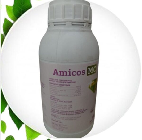 AMICOS MC - Image 2