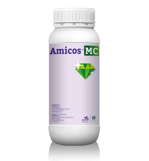 AMICOS MC