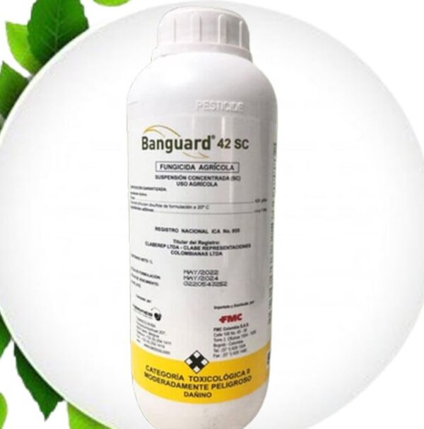 BANGUARD
