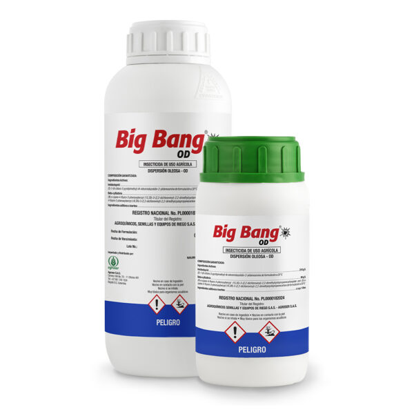 BIG BANG OD 1 LT