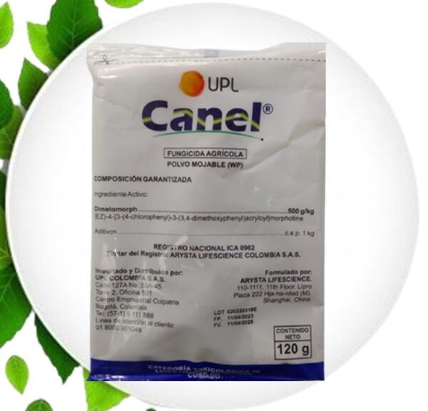 CANEL 120GR