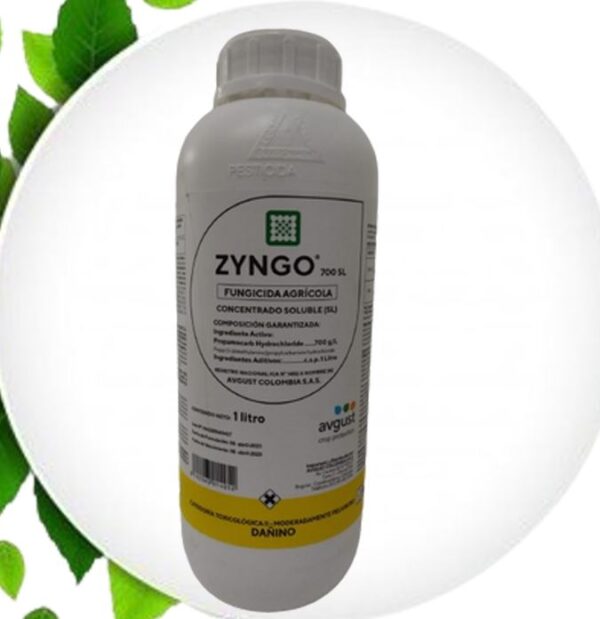 ZYNGO