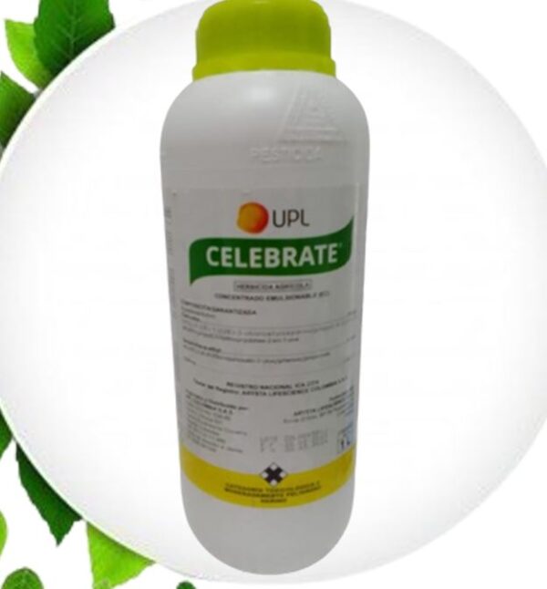 CELEBRATE 360 EC