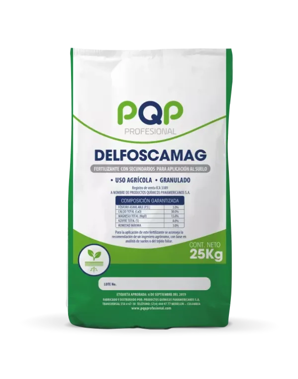 DELFOSCAMG