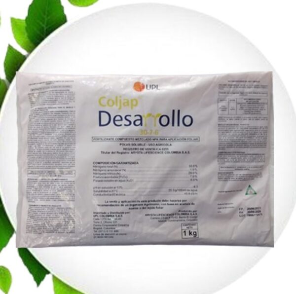 DESARROLLO COLJAP
