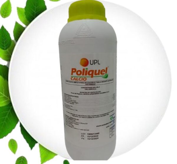 POLIQUEL CALCIO - Image 2