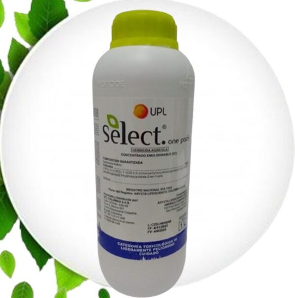 SELECT