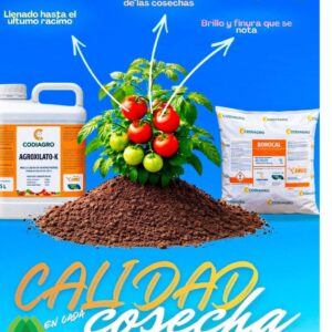 AGROXILATO K