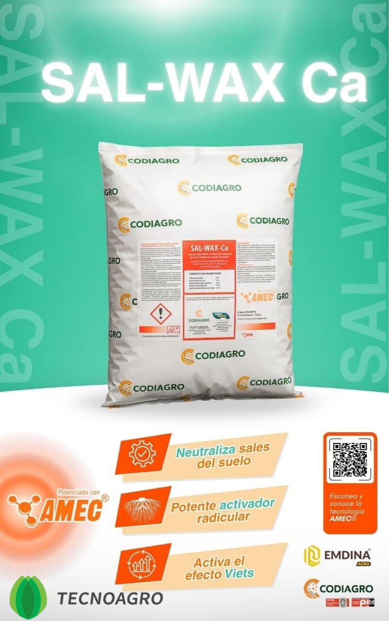 SAL WAX CA